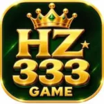 HZ333 Game