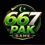 667PAK Game